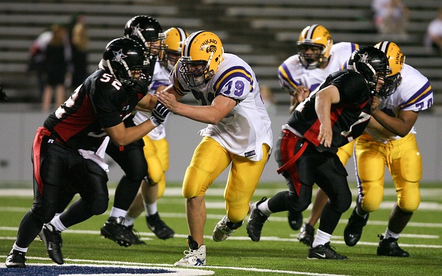 专家来说 专家来说