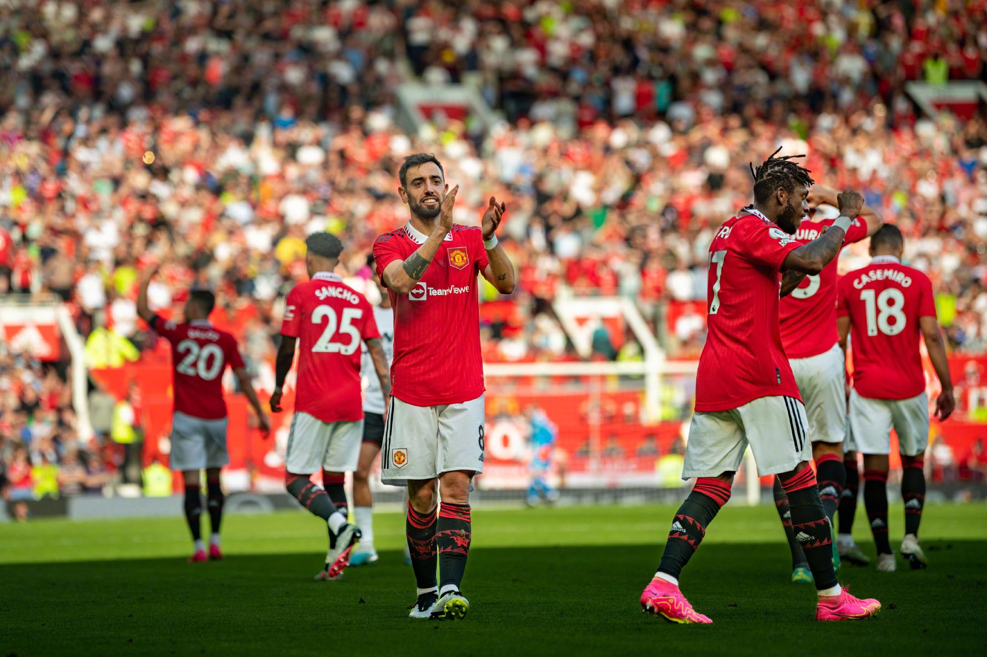 忠实的球迷 忠实的球迷